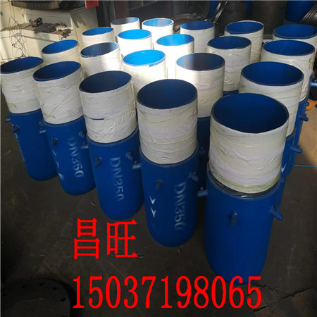 羅定市直埋套筒補償器性能作用分解圖紙