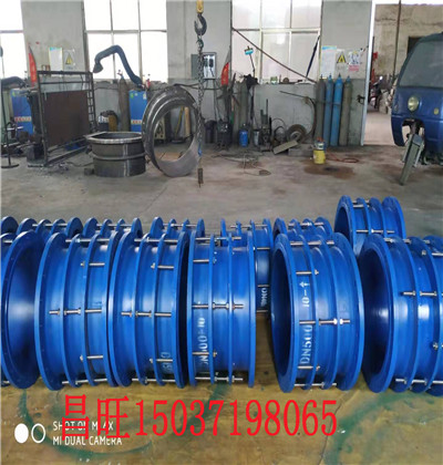 ��h�h2021�½��O�ߜ��S���Ͳ��y�a�����D������